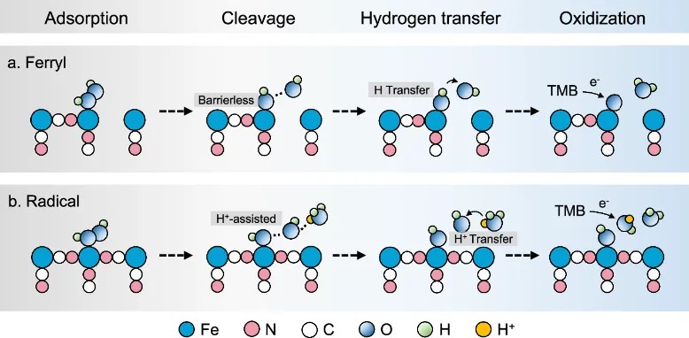 640 (1).jpg
