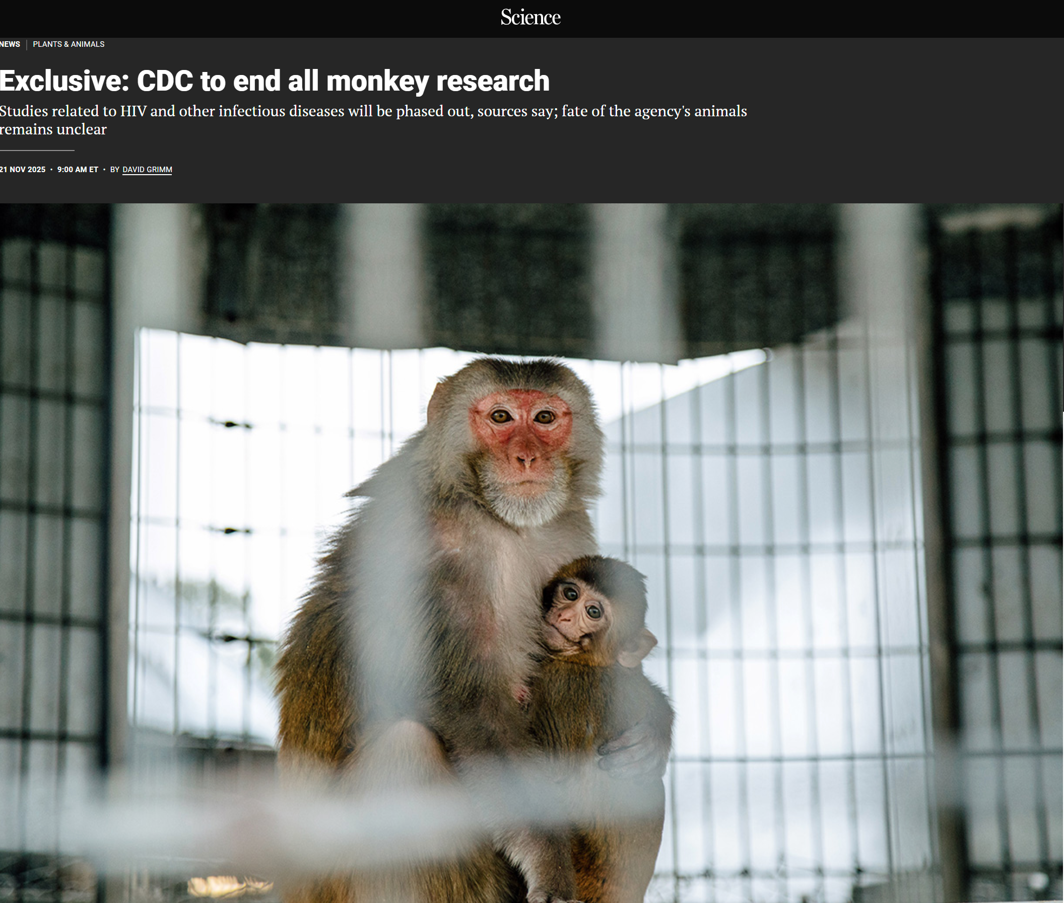 历史性转折！CDC 全面终止猴子实验，类器官 + 器官芯片扛起科研大旗
